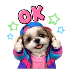 AMIty_20251219110327