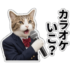 Real Student Cats: Food & Fun Life