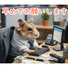 PAKAMOGOLY_20251219120832