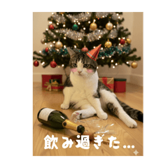 volunteer_20251219122228