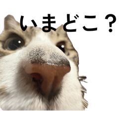 ENDLESS_20251217182434