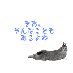 Nature_20251219124652