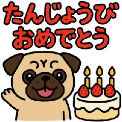 Cute Pug Daily Conversation Sticker