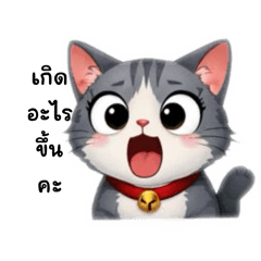 cat stickers_20251218231323