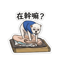 點點犬的日常第一彈