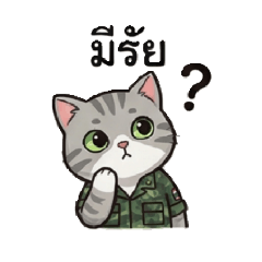 CAT SOLDIER_20251219064626