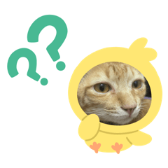 Munich_20251219075615