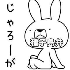 Dialect rabbit [tanegashima]