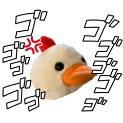 rinorino_20251217190402