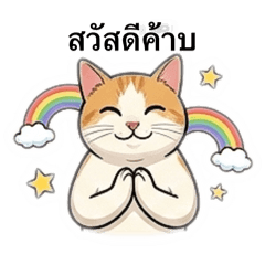 Araya_20251219115449