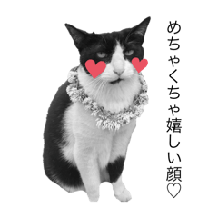 nyanco2_20251217213354