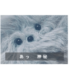 KANZUME_20251217211828