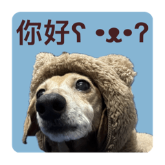 青見青見2:應該算有禮貌