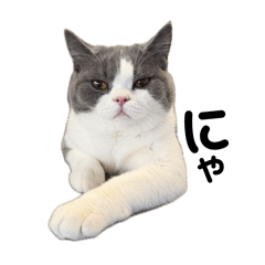 arisa_20251219144555