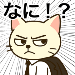 The daily life of a system engineer