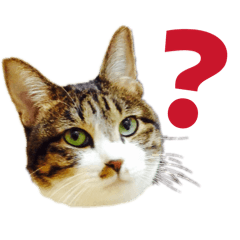 ikapi_20251217193351