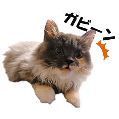 okape-_20251219150814