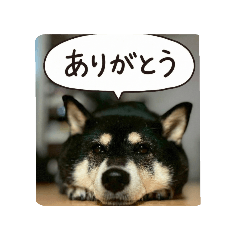 douraku_20251219151855