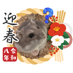 chihiro_20251219153651