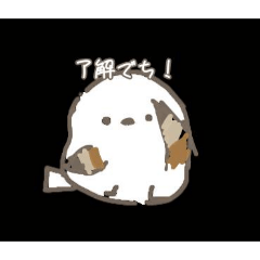 ayakita_20251219153539