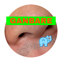 chihiro_20251219160600