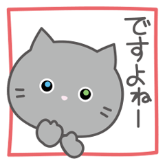 ♥︎灰色小貓［日語］