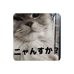 ラ厶2