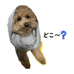 ayane_20251219162930