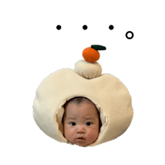 WANKO_20251219195202