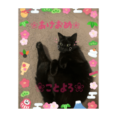 mochiko_20251219200548