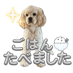 Hanae_20251219200423