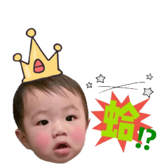 大大寶貝的日常