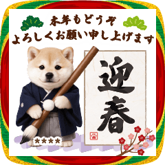 SHIBAINU NENGA [custom]