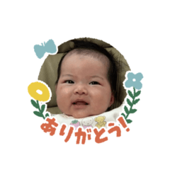 wakaba_20251219160331