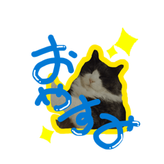 haruo_20251219165329