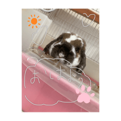 yuzuka_20251219193158