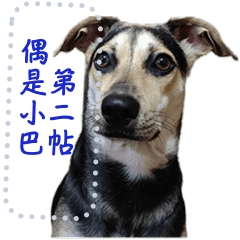 阿李阿巴訊息貼-第二帖