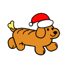 ButterFlyok Studio : Christmas 2025