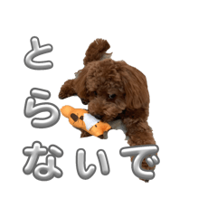 kinako_20251219172603