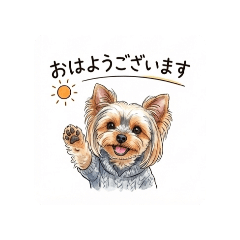 Ringo_20251219172617