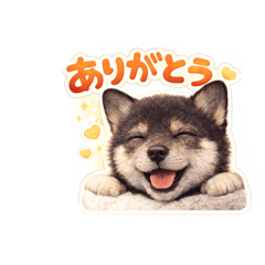 Satop_20251219173100