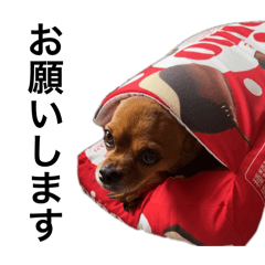 bnnman_20251219173637