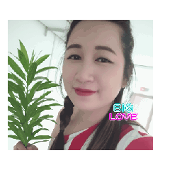 massaya_20251219185643