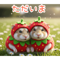 PAKAMOGOLY_20251219235359