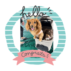 youko_20251219180155