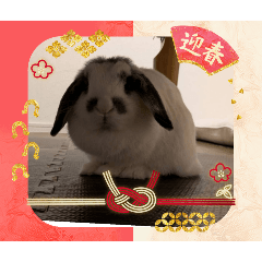 Yuto_20251219181334