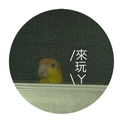 圓仔紅茶ㄉcrazy日常