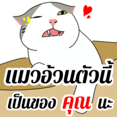 Captain is cat by nofman