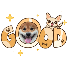 美麗的阿鹹日記