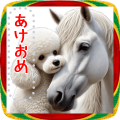 Toy Poodles and New Year! Free Message